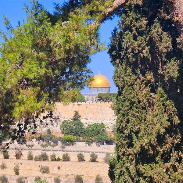 Экскурсии по Израилю на русском языке