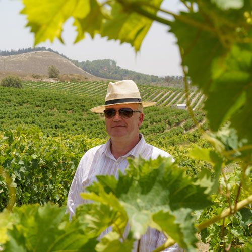 Винный тур по Израилю